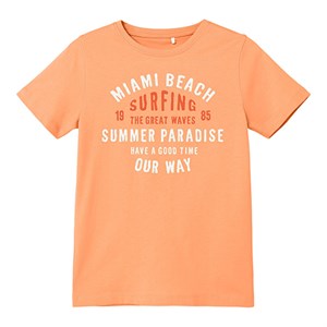 Name It - Victor T-shirt SS, Salmon Buff