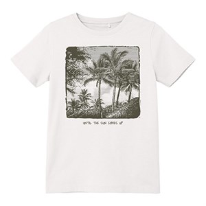 Name It - Victor T-shirt SS, White Alyssum