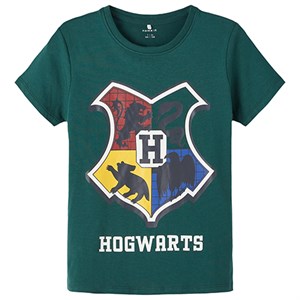 Name It - Ottar Harry Potter T-shirt SS, Sea Moss