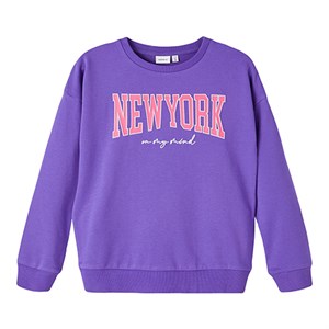 Name It - Bansira Light Sweatshirt UNB, Purple Corallites