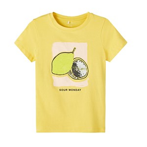 Name It - Haven T-shirt SS, Aspen Gold