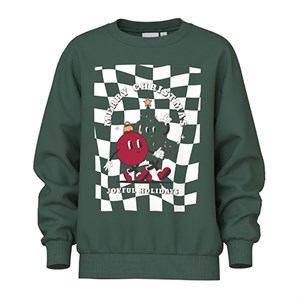 Name It - Vismas Nreg Sweatshirt BRU - Joyfull, Botanical Garden