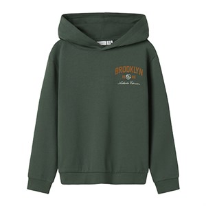 Name It - Newi Nreg Sweat BRU LS, Garden Topiary