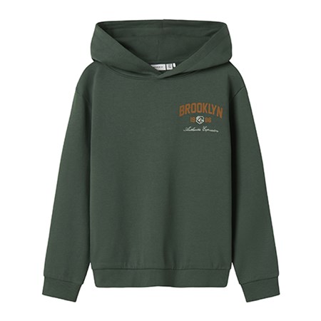 Name It - Newi Nreg Sweat BRU LS, Garden Topiary