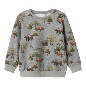 Name It - Olin Nreg Sweatshirt BRU, Great Melange