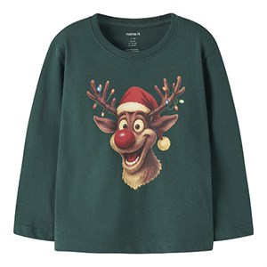 Name It -  NMM VOSMAS LS NREG TOP W REINDEER, Botanical Garden