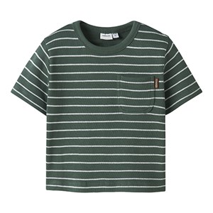 Name It - NMM HAKAN SS NREG TOP, Garden Topiary