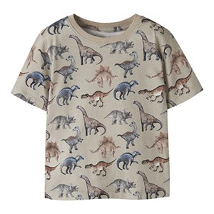 Name It - NMM HIMUS SS NREG TOP, Pure Cashmere