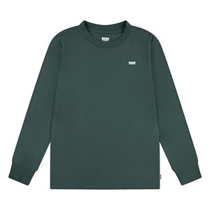 Levi's Kids - LVB Batwing Chesthit Tee LS, Bistro Green