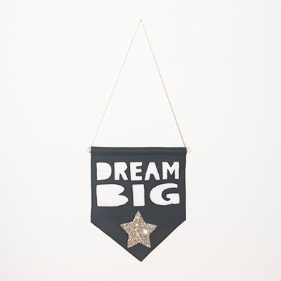 Miny & Mo Banner  - Dream Big