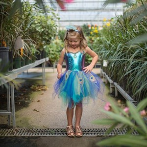 Great Pretenders - Påfugl kjole med hårbøjle -  5-6 år