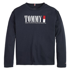 Tommy Hilfiger - Tommy Graphic Tee LS, Desert Sky